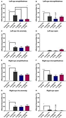 Folic Acid Fortification Prevents Morphological and Behavioral Consequences of X-Ray Exposure During Neurulation